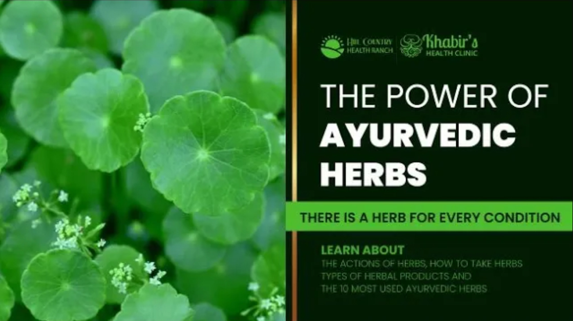 The power of ayurvedic herbs